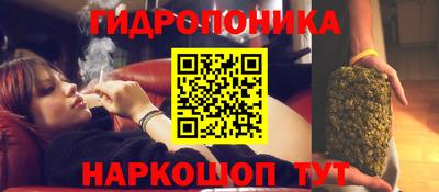 не бодяженный Кингисепп