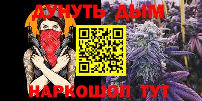 не бодяженный Кингисепп