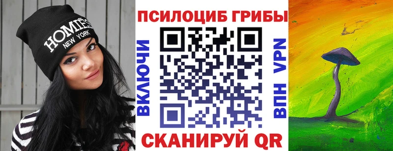 Псилоцибиновые грибы Psilocybine cubensis  наркошоп  Сокол 