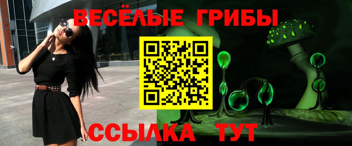 купить наркоту  Вход с VPN  Сокол  Галлюциногенные грибы GOLDEN TEACHER 